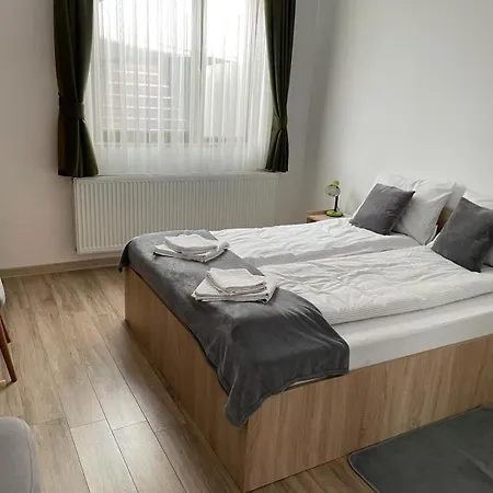 Apartment Fenyo *